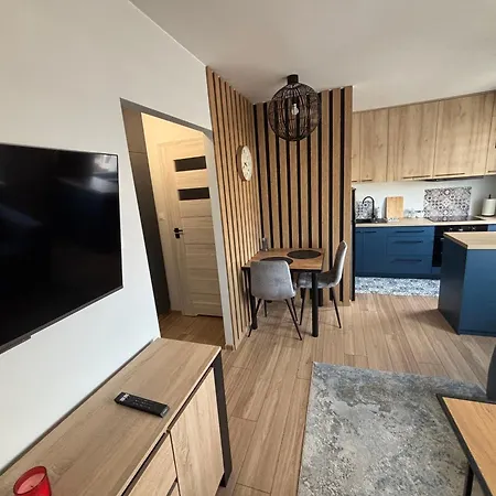 Blue & Wood Apartment Nowy Sacz